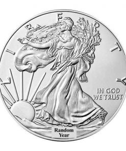 American Silver Eagle 1 oz random year